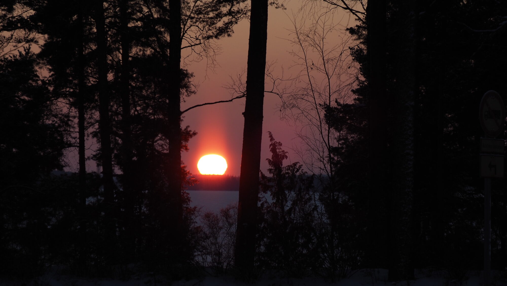 Valokuvaaja: Arja Valtonen