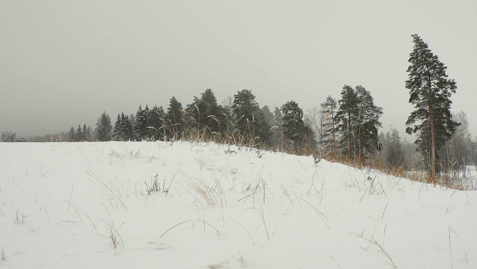 Valokuvaaja: Arja Valtonen