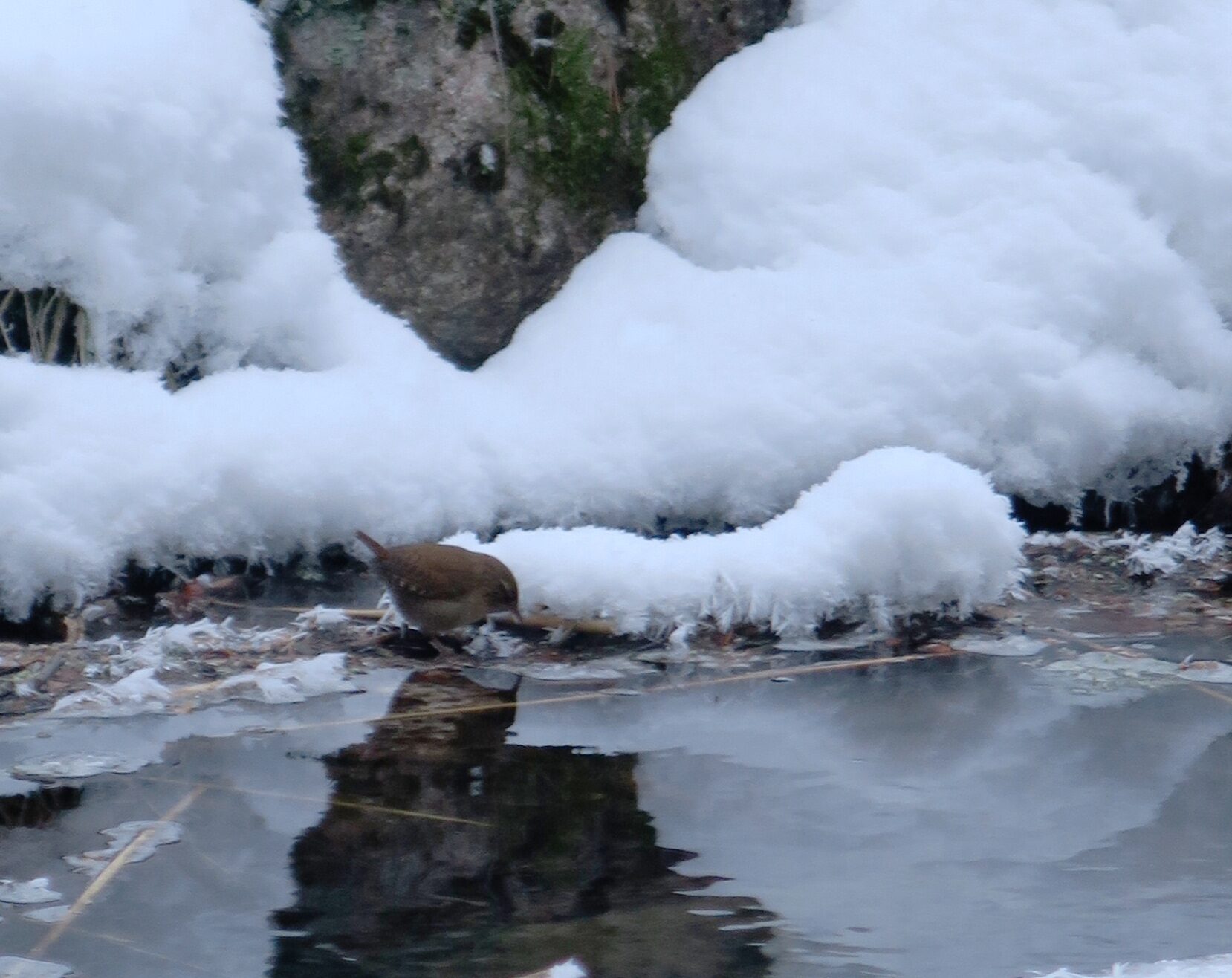 Valokuvaaja: Arja Pohto
