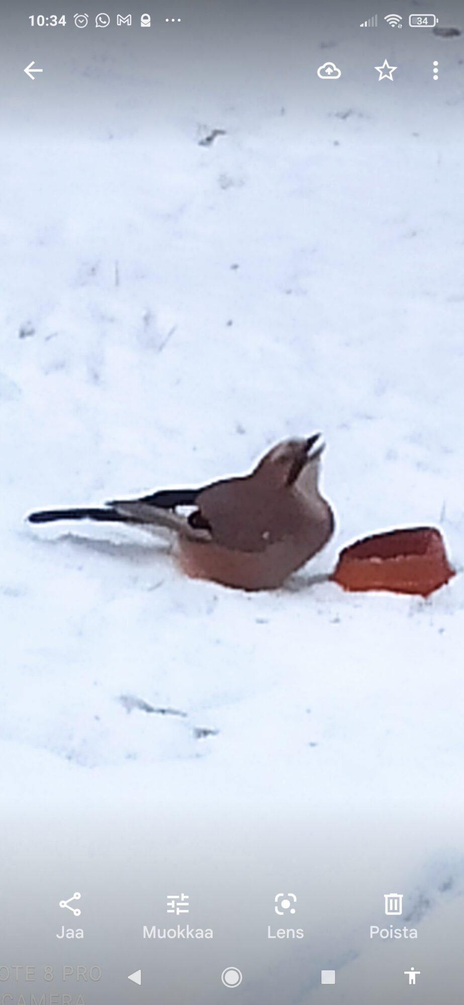 Valokuvaaja: Harry Lindell Valokuvaaja: Harry Lindell