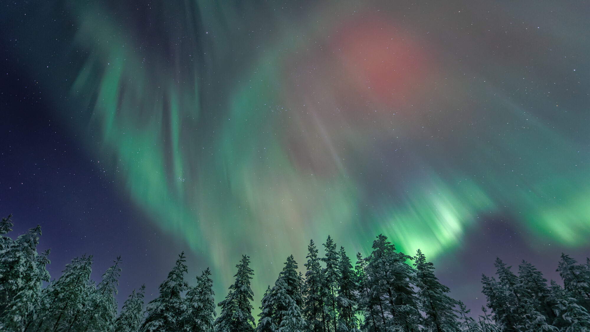 Valokuvaaja: Tommi Kujala