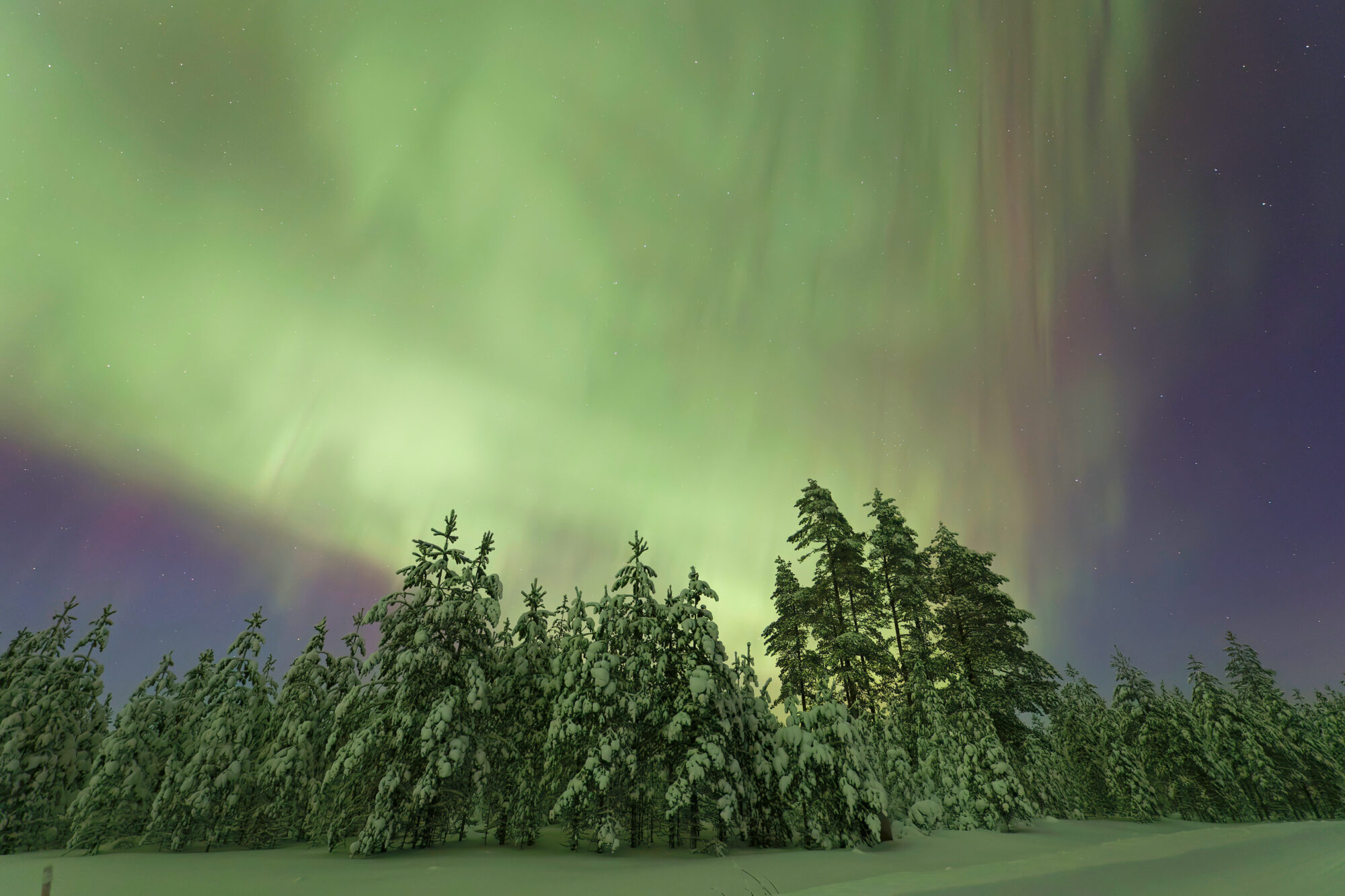 Valokuvaaja: Tommi Kujala