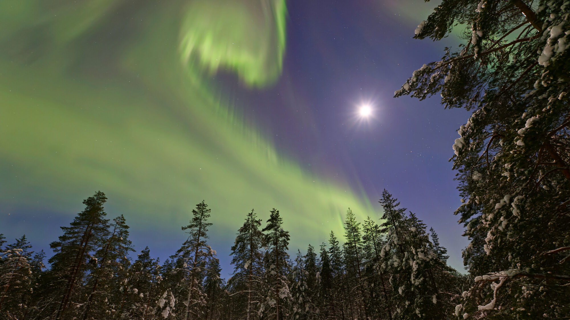 Valokuvaaja: Tommi Kujala