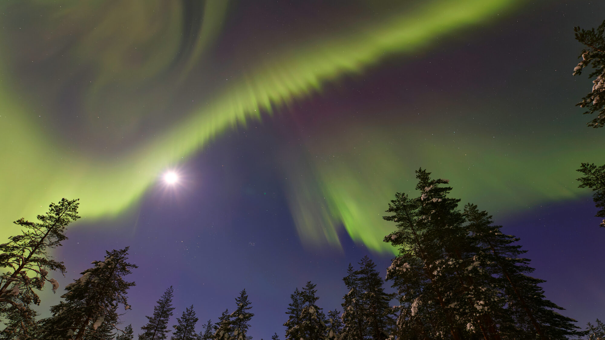 Valokuvaaja: Tommi Kujala