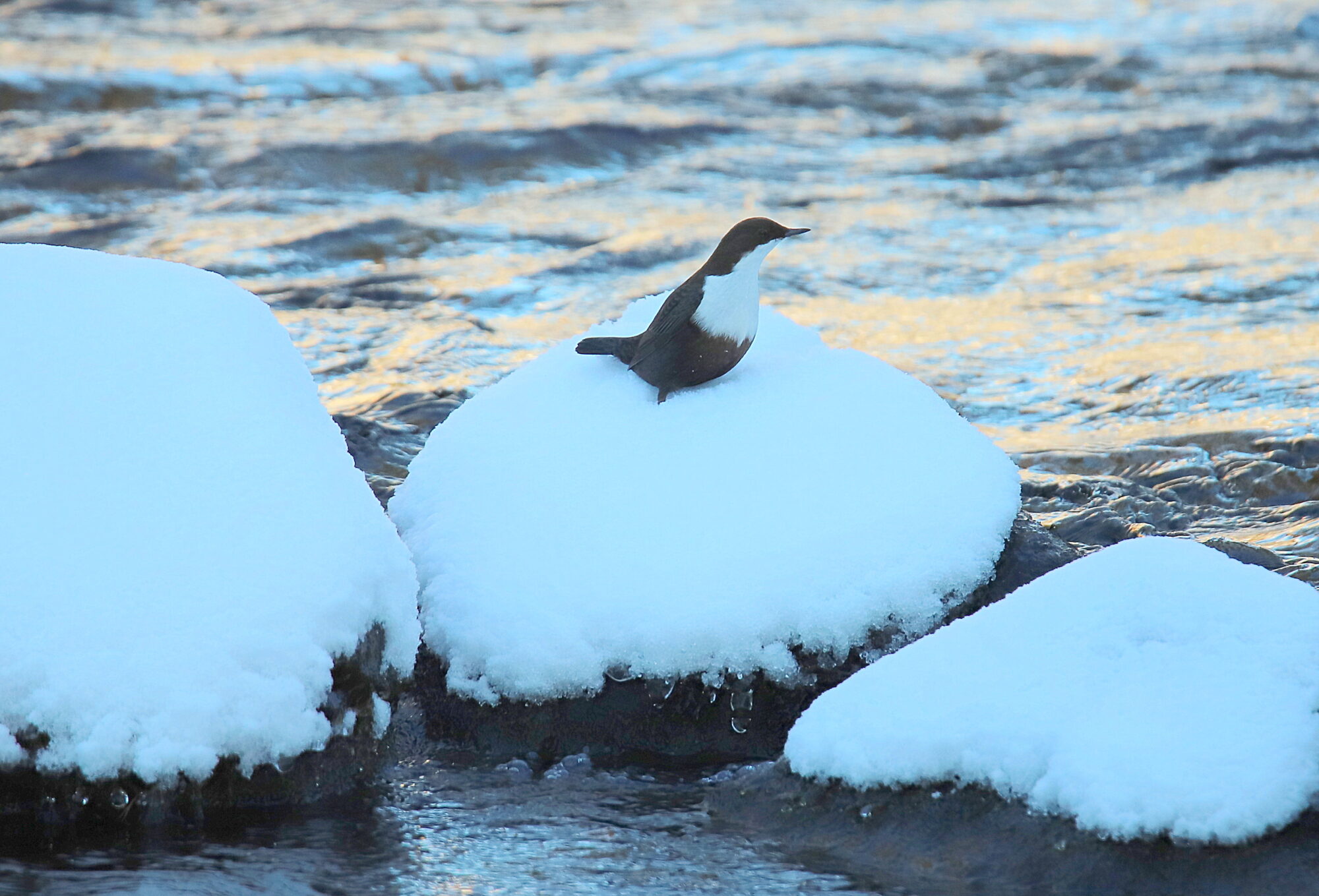 Valokuvaaja: sirpa jyske