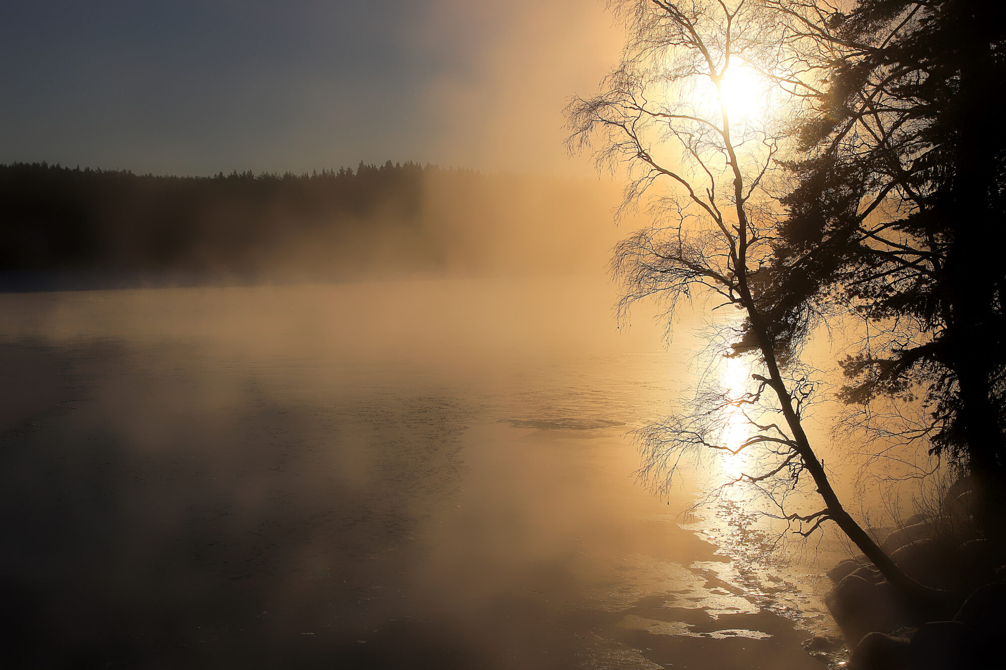 Valokuvaaja: sirpa jyske