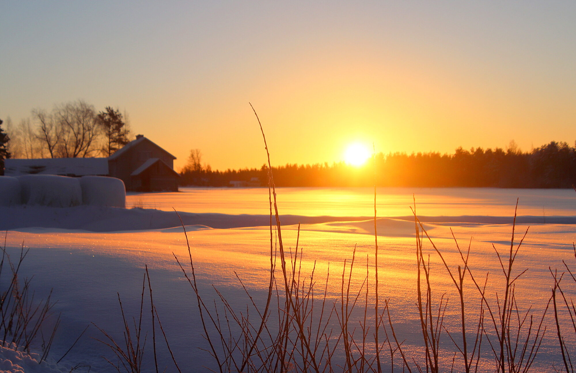 Valokuvaaja: sirpa jyske Valokuvaaja: sirpa jyske