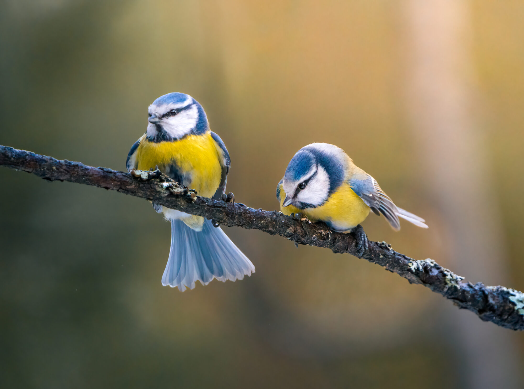 Valokuvaaja: Laura Lehtola