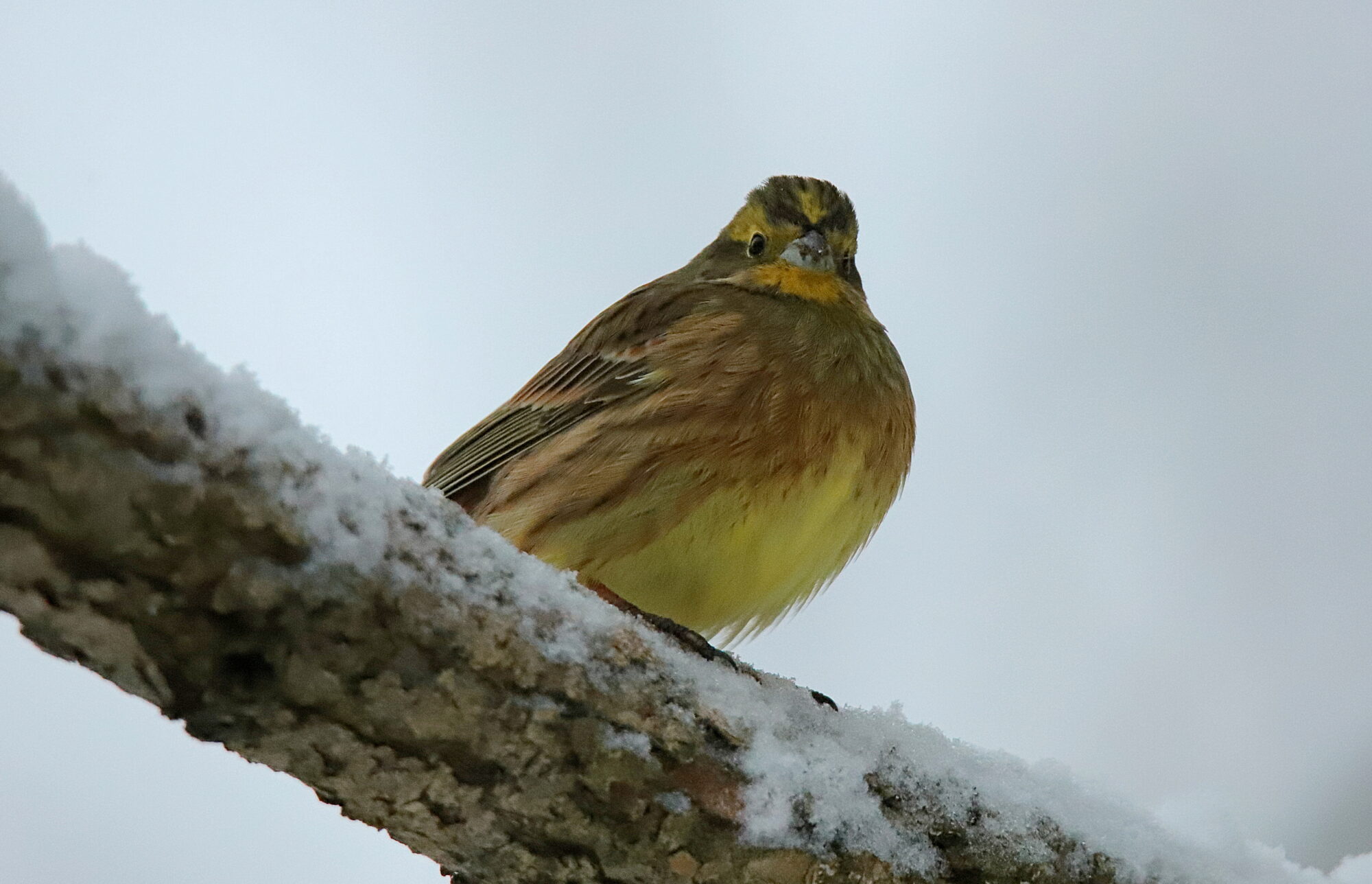 Valokuvaaja: sirpa jyske Valokuvaaja: sirpa jyske