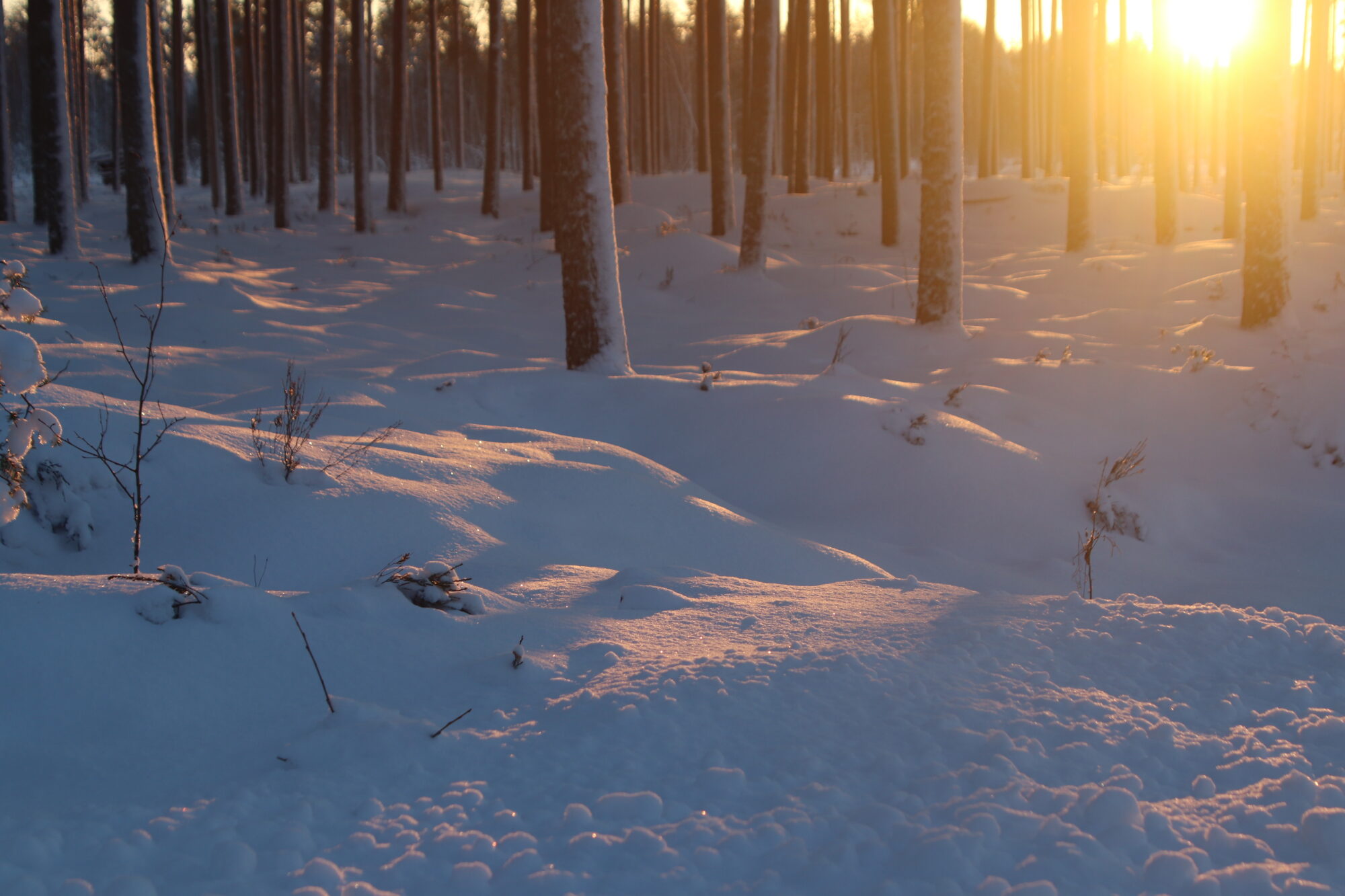 Valokuvaaja: sirpa jyske