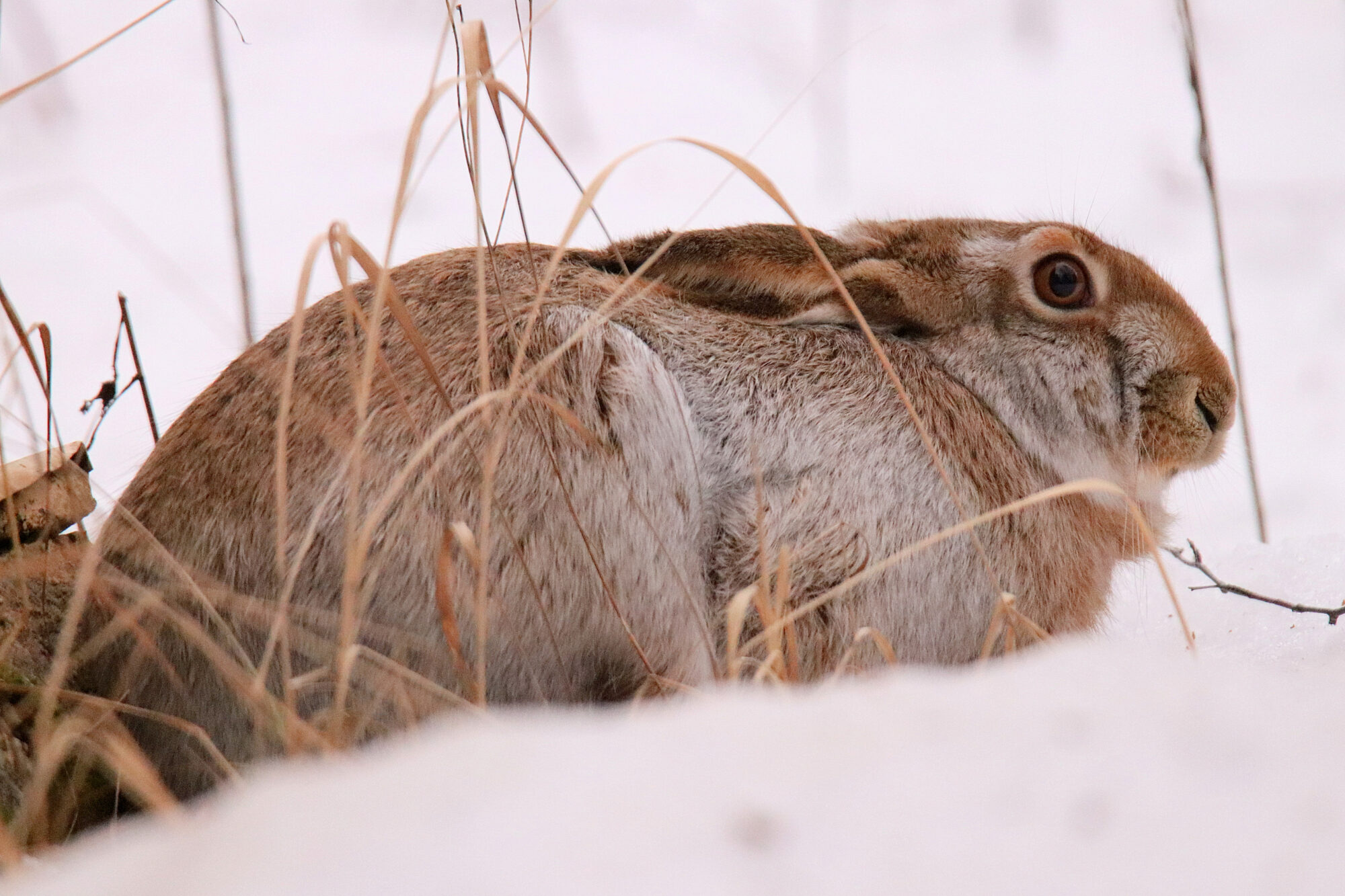 Valokuvaaja: sirpa jyske