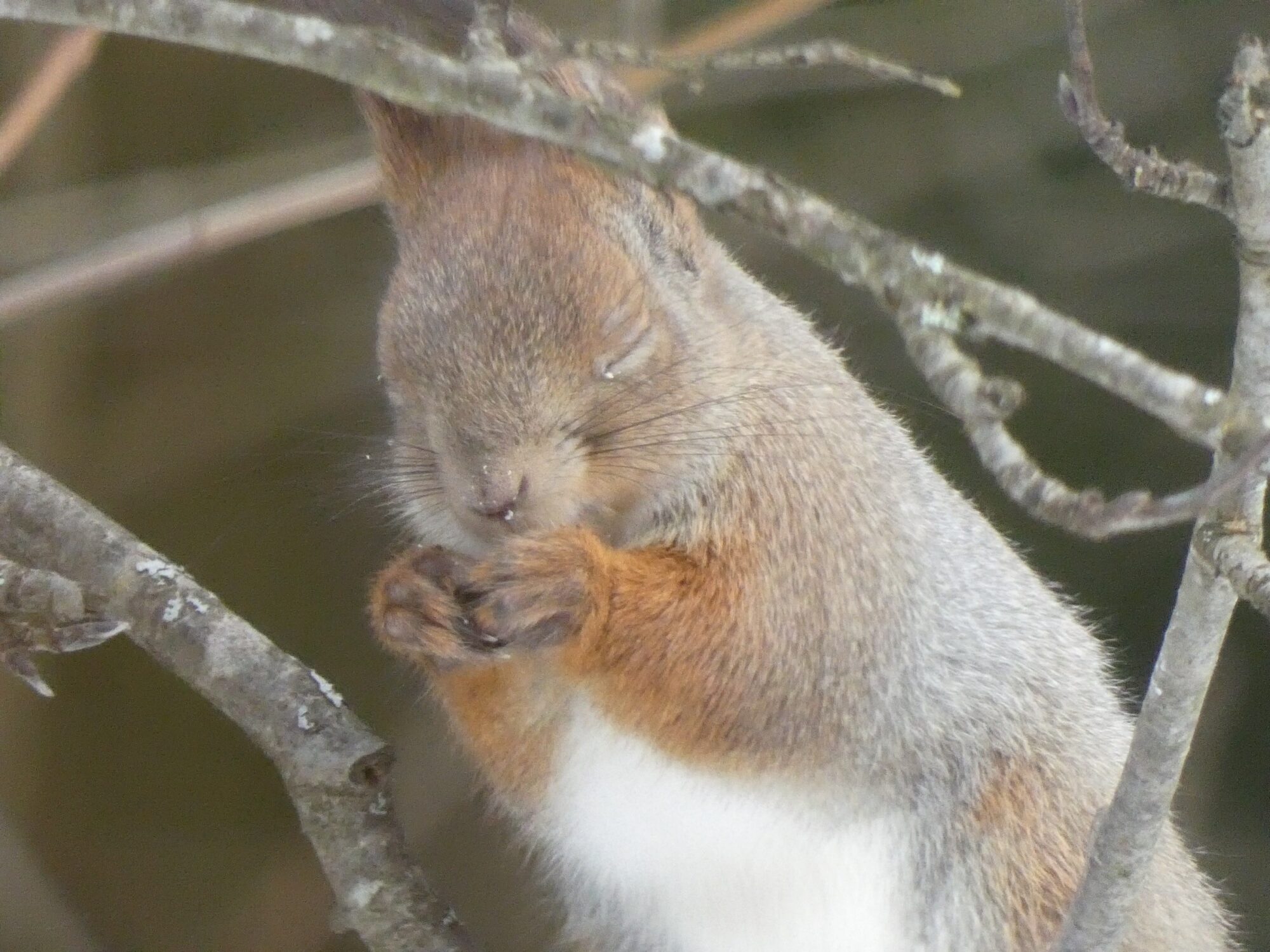 Valokuvaaja: Pekka Heino