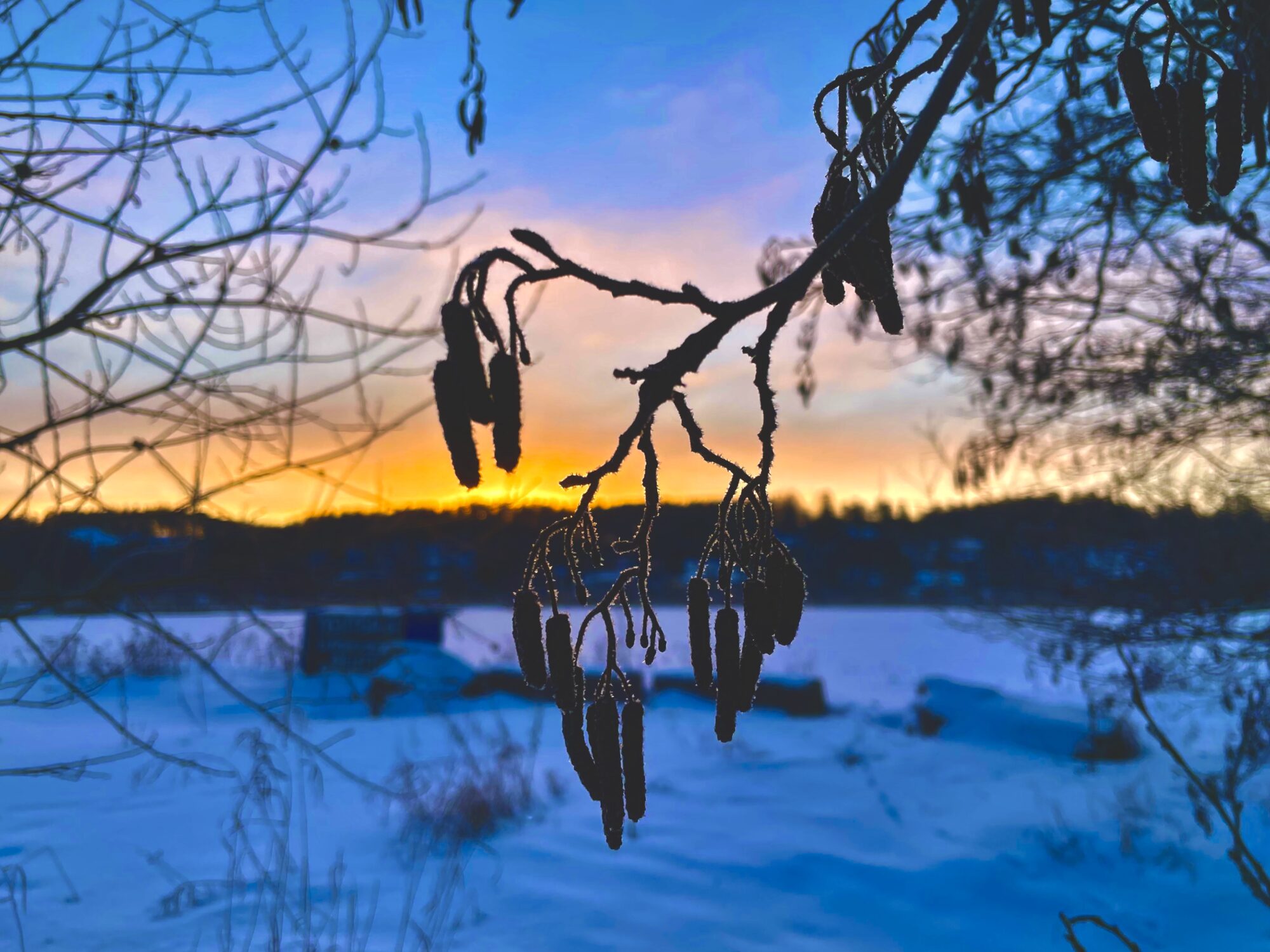 Valokuvaaja: Juhani Peltonen