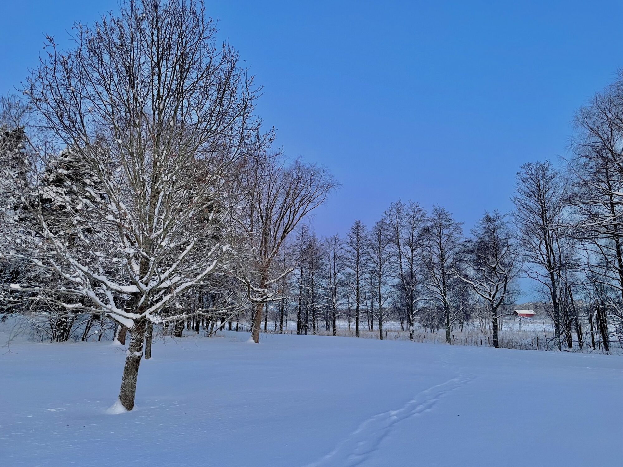 Valokuvaaja: Juhani Peltonen