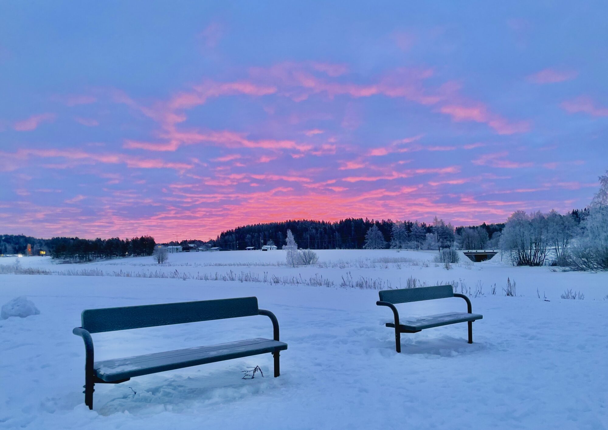Valokuvaaja: Juhani Peltonen