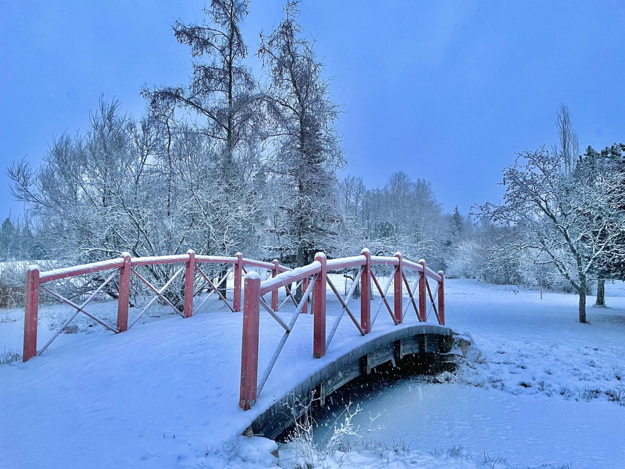 Valokuvaaja: Juhani Peltonen