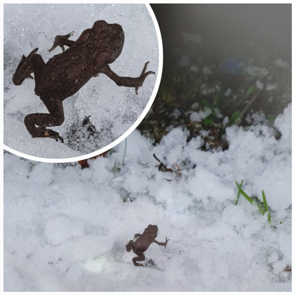 Valokuvaaja: Merja Munukka