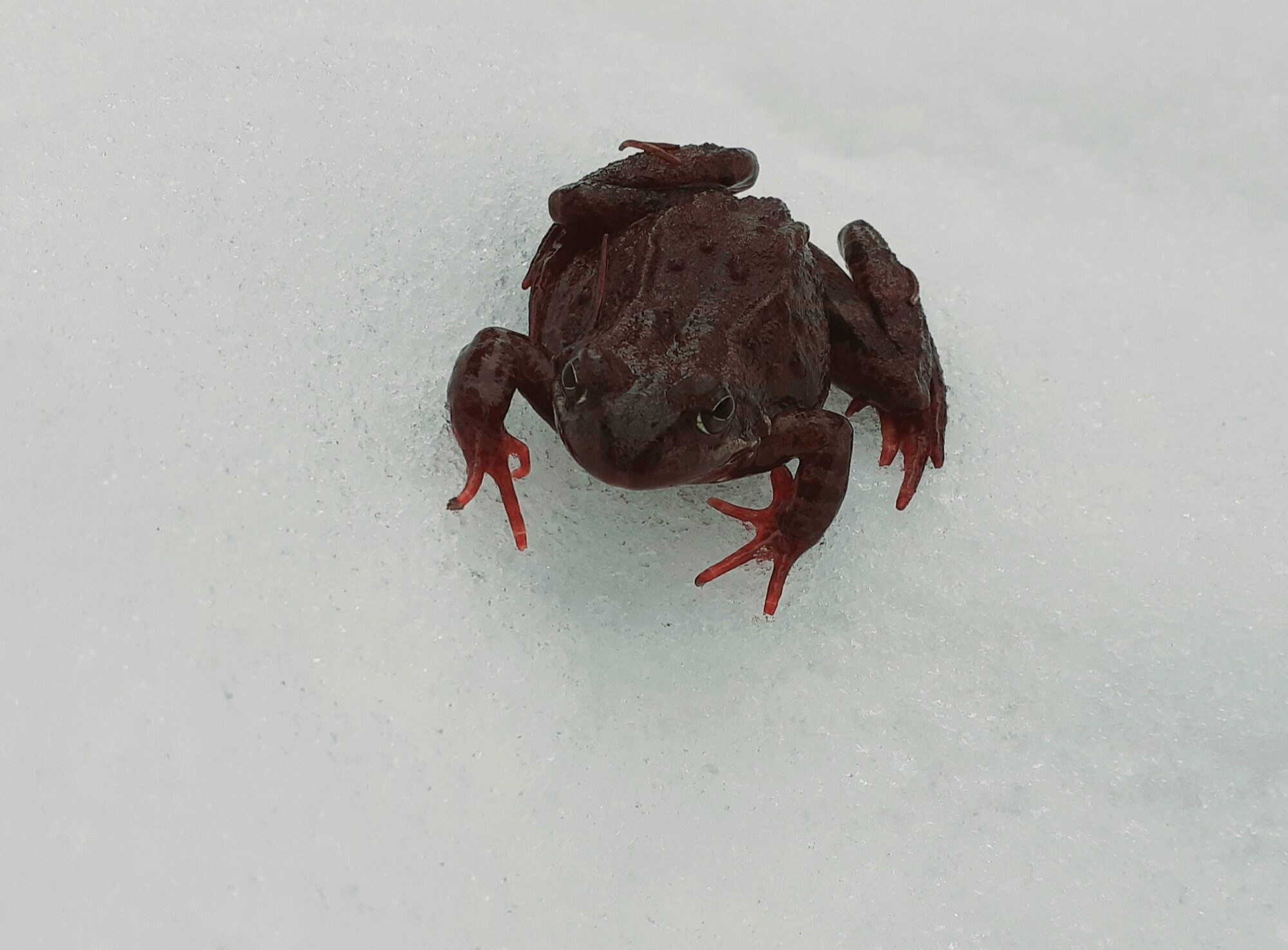 Valokuvaaja: Marja-Liisa Paavola