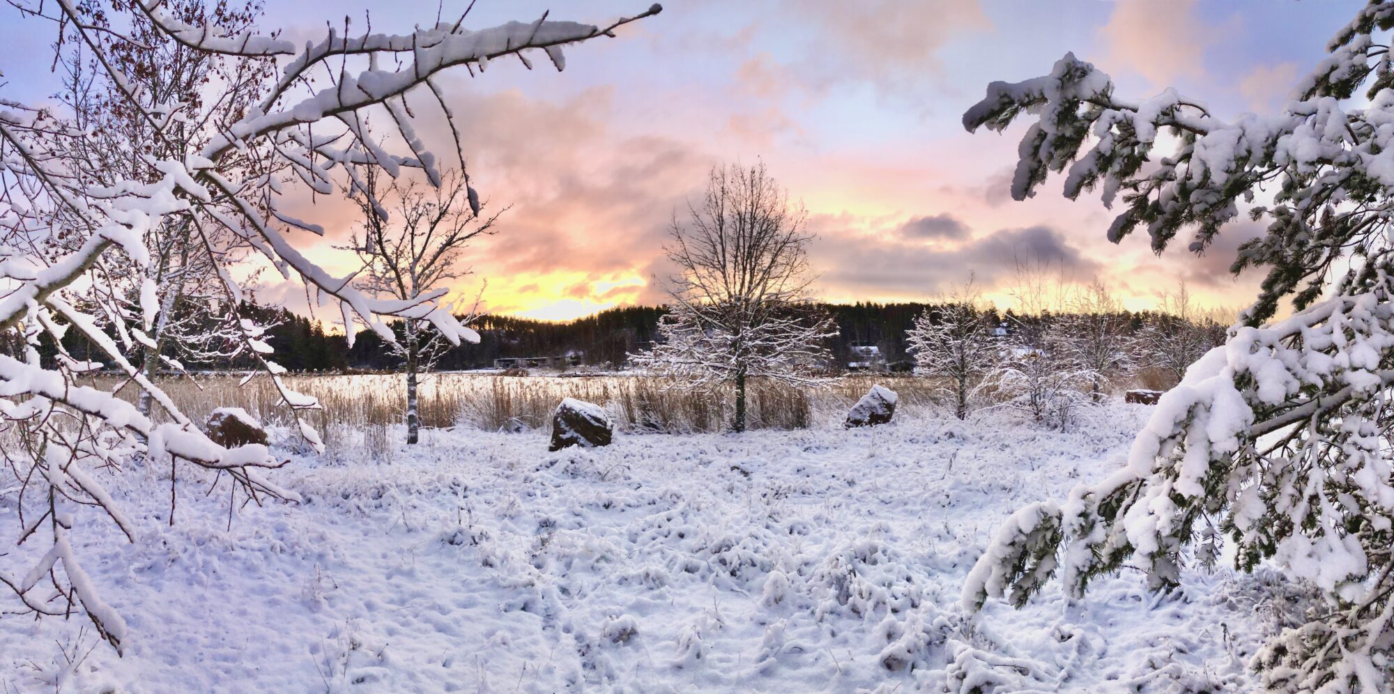 Valokuvaaja: Juhani Peltonen