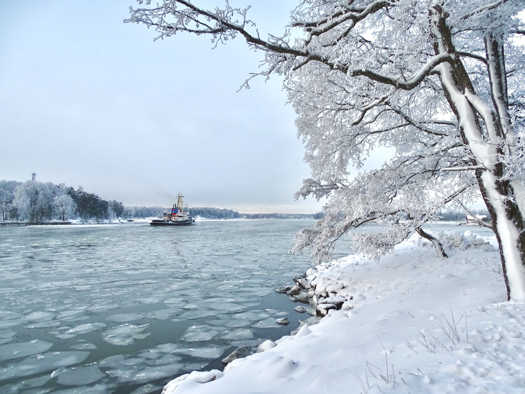 Valokuvaaja: Juhani Peltonen