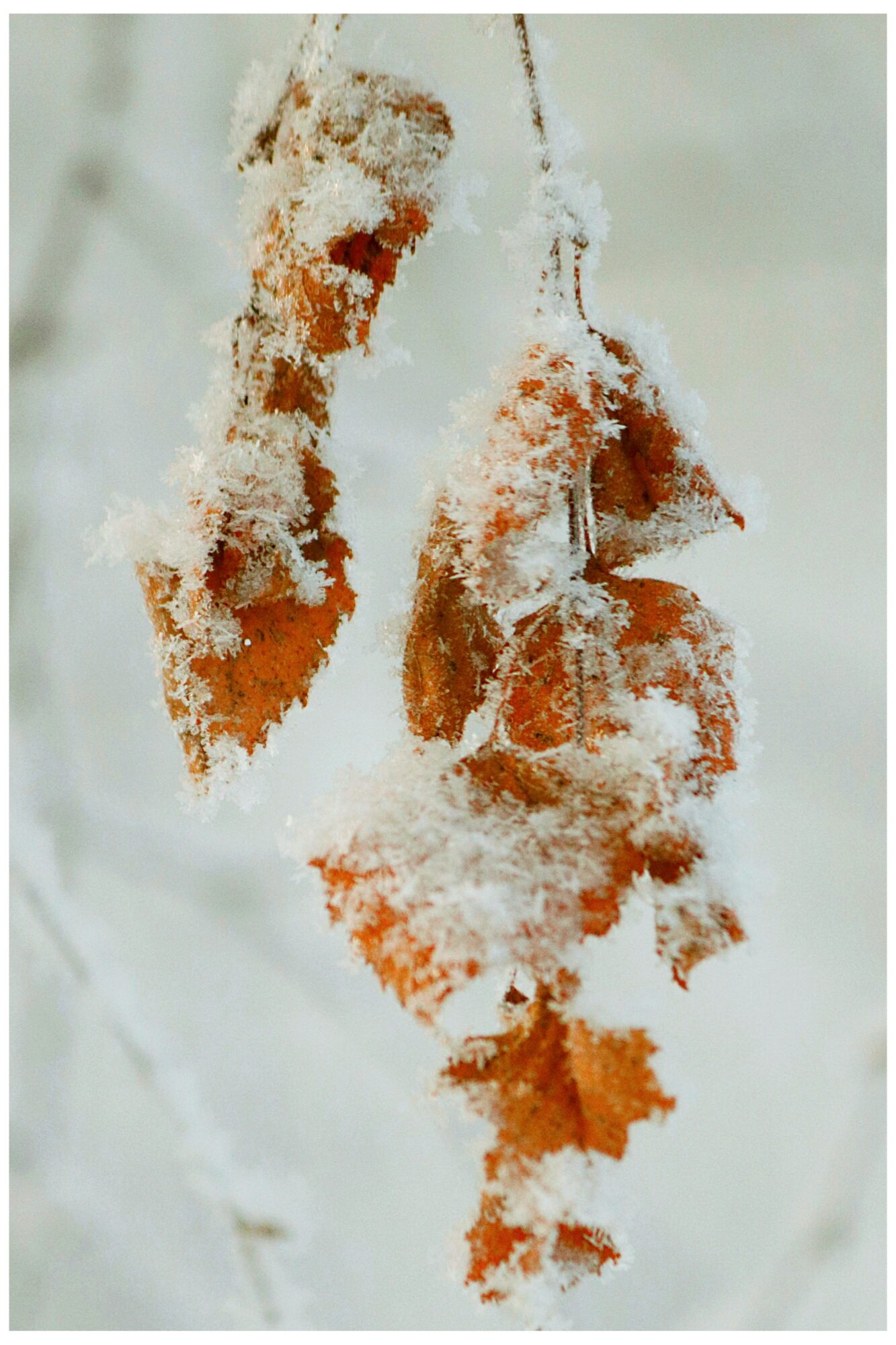 Valokuvaaja: Ritva Nieminen Valokuvaaja: Ritva Nieminen