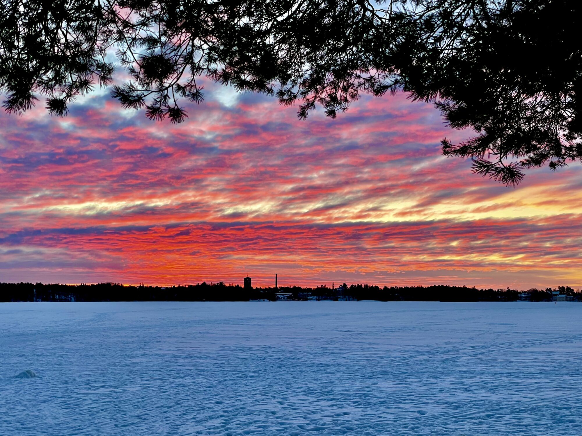 Valokuvaaja: Juhani Peltonen
