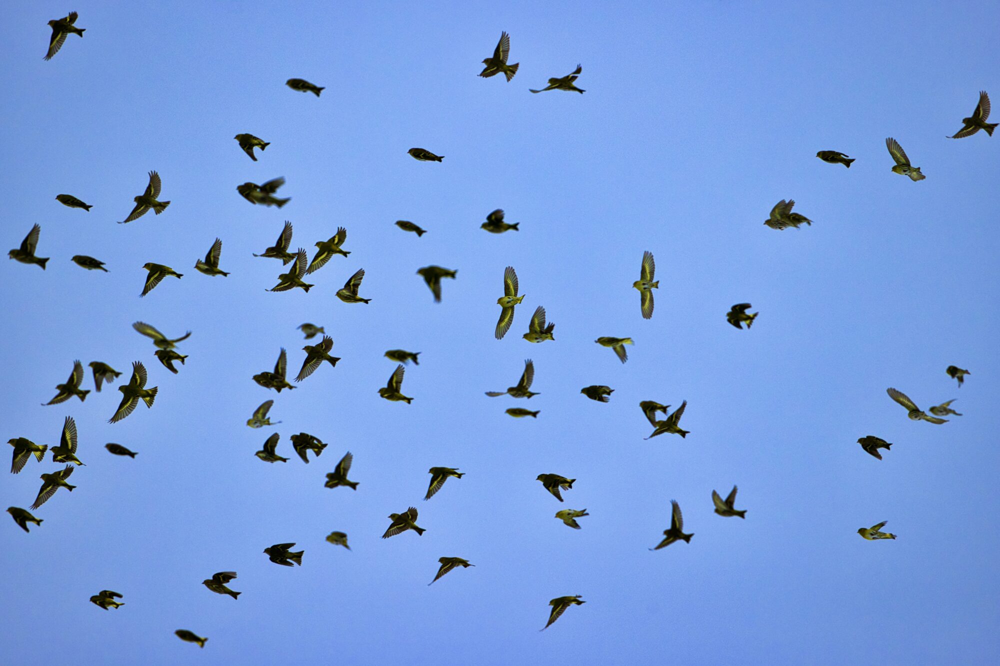 Valokuvaaja: Ari Branthin Valokuvaaja: Ari Branthin