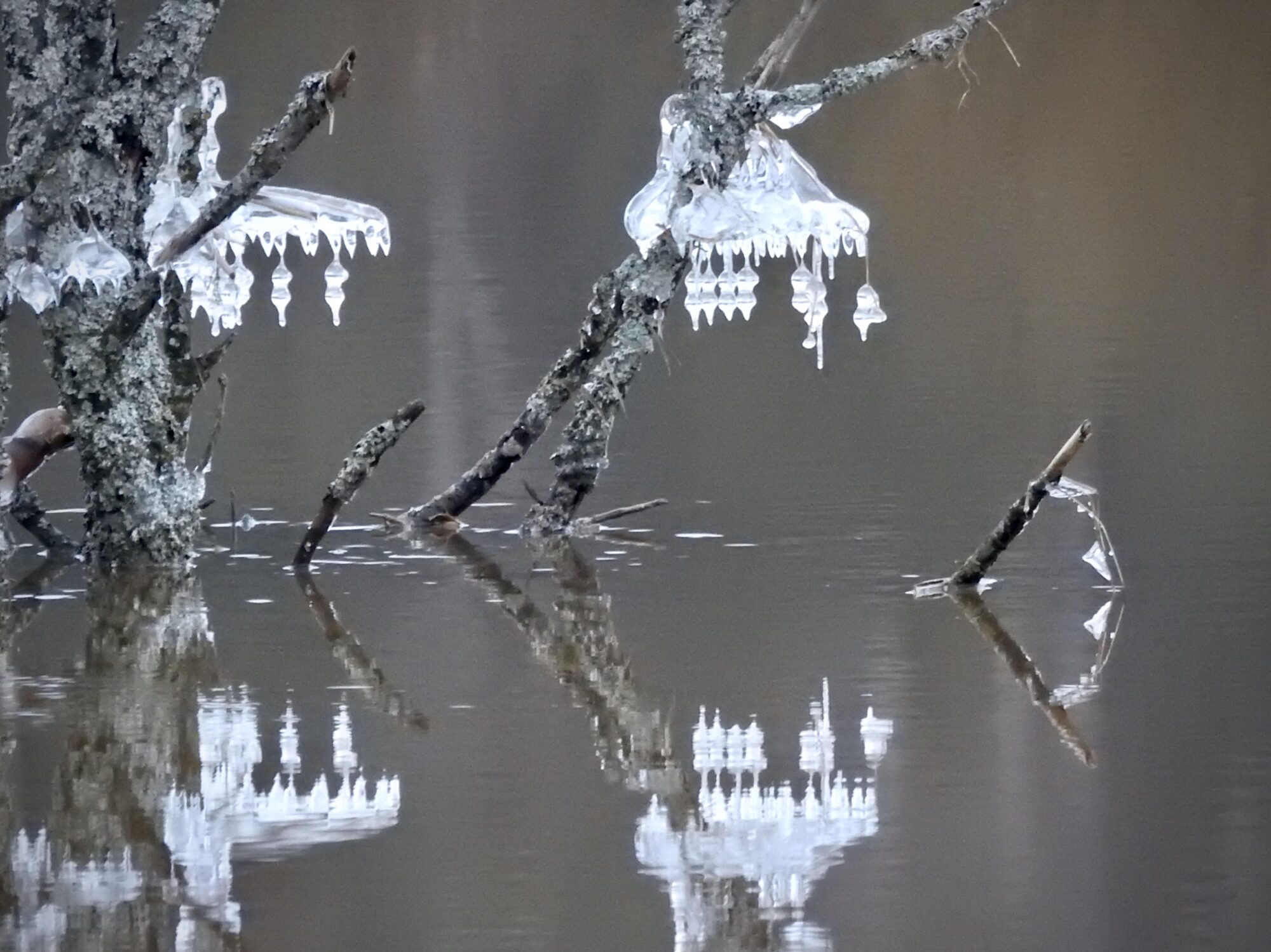 Valokuvaaja: Päivi Heikkilä Valokuvaaja: Päivi Heikkilä