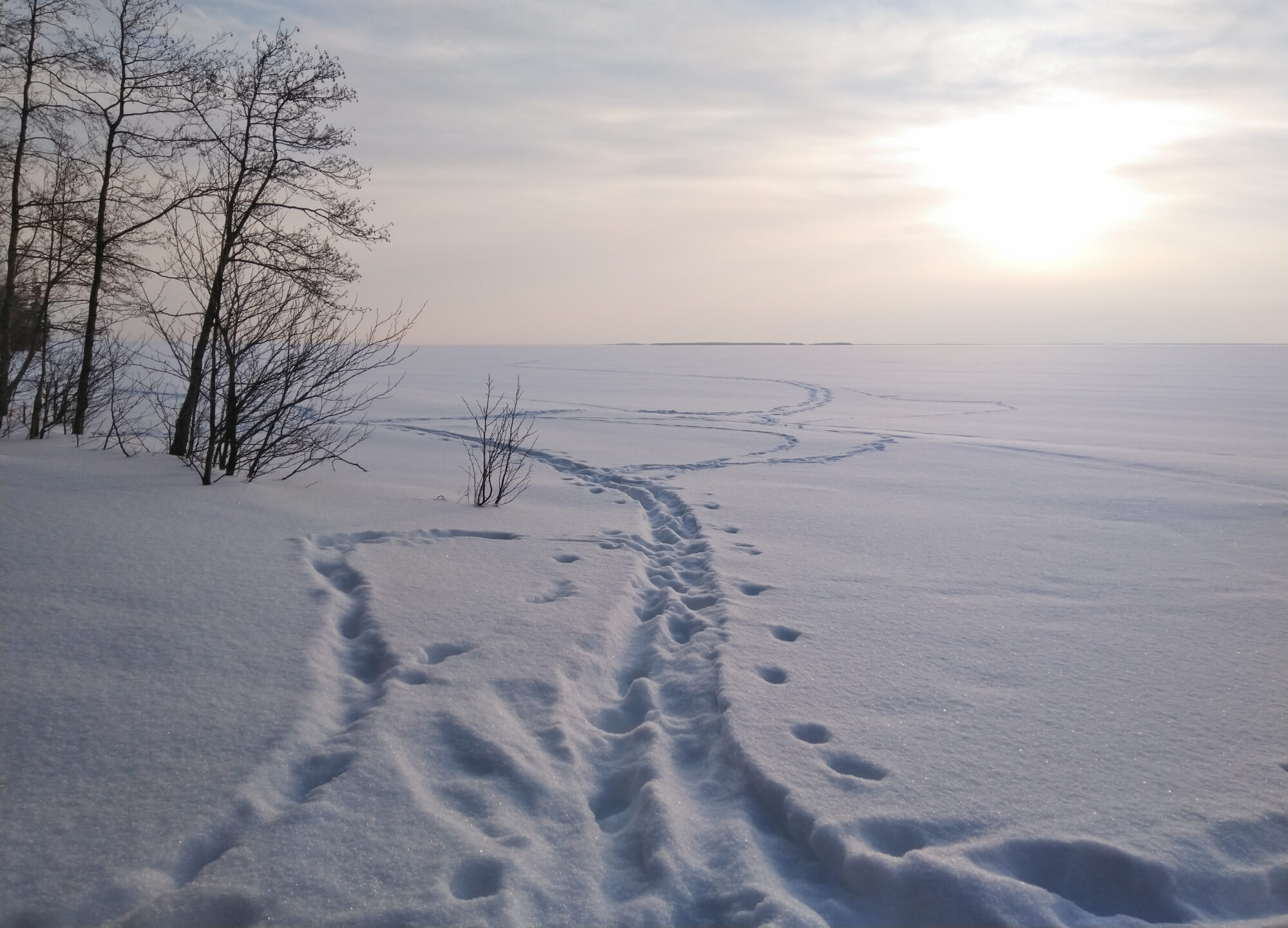 Valokuvaaja: Marja Nevalainen