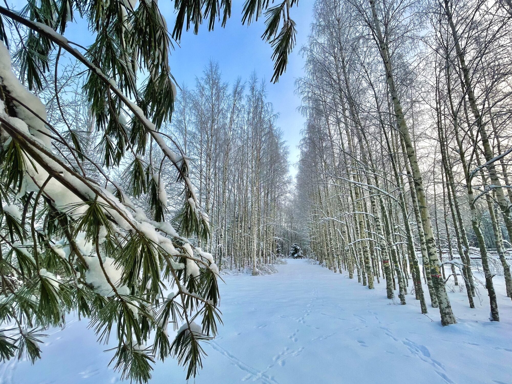 Valokuvaaja: Juhani Peltonen