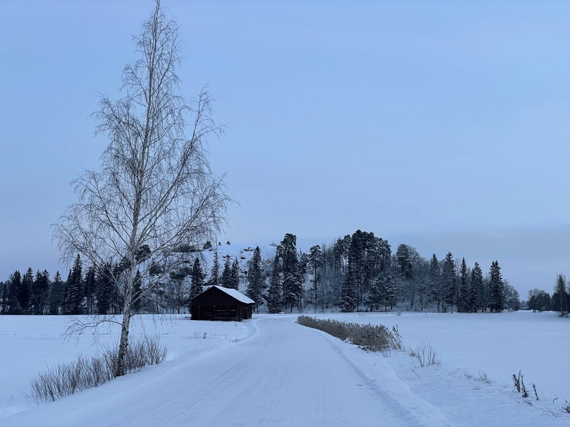Valokuvaaja: Juhani Peltonen Valokuvaaja: Juhani Peltonen