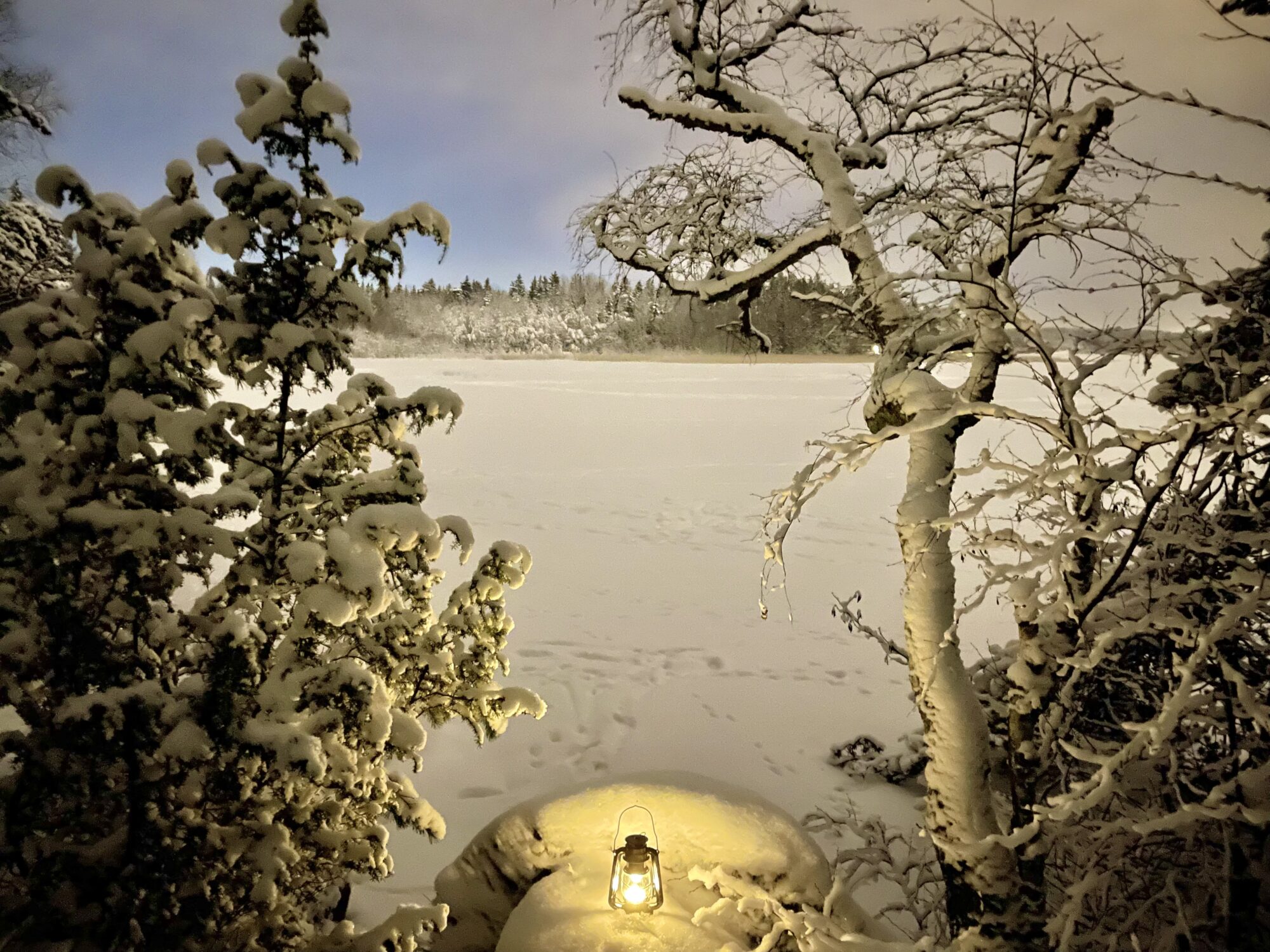 Valokuvaaja: Juhani Peltonen