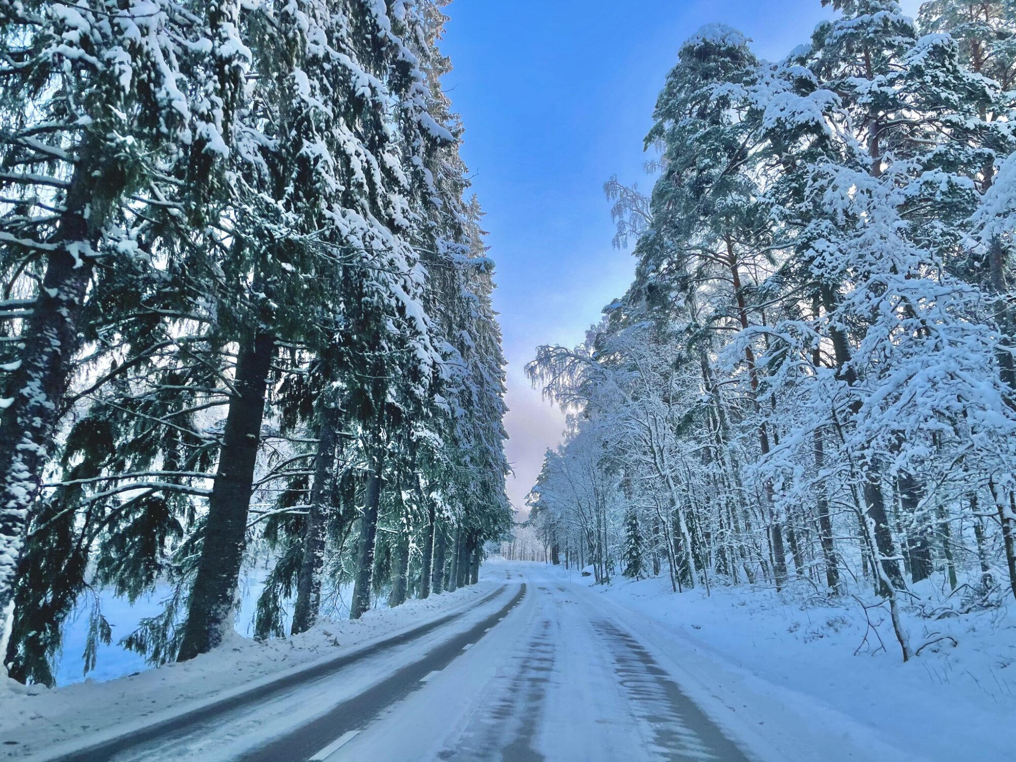Valokuvaaja: Juhani Peltonen