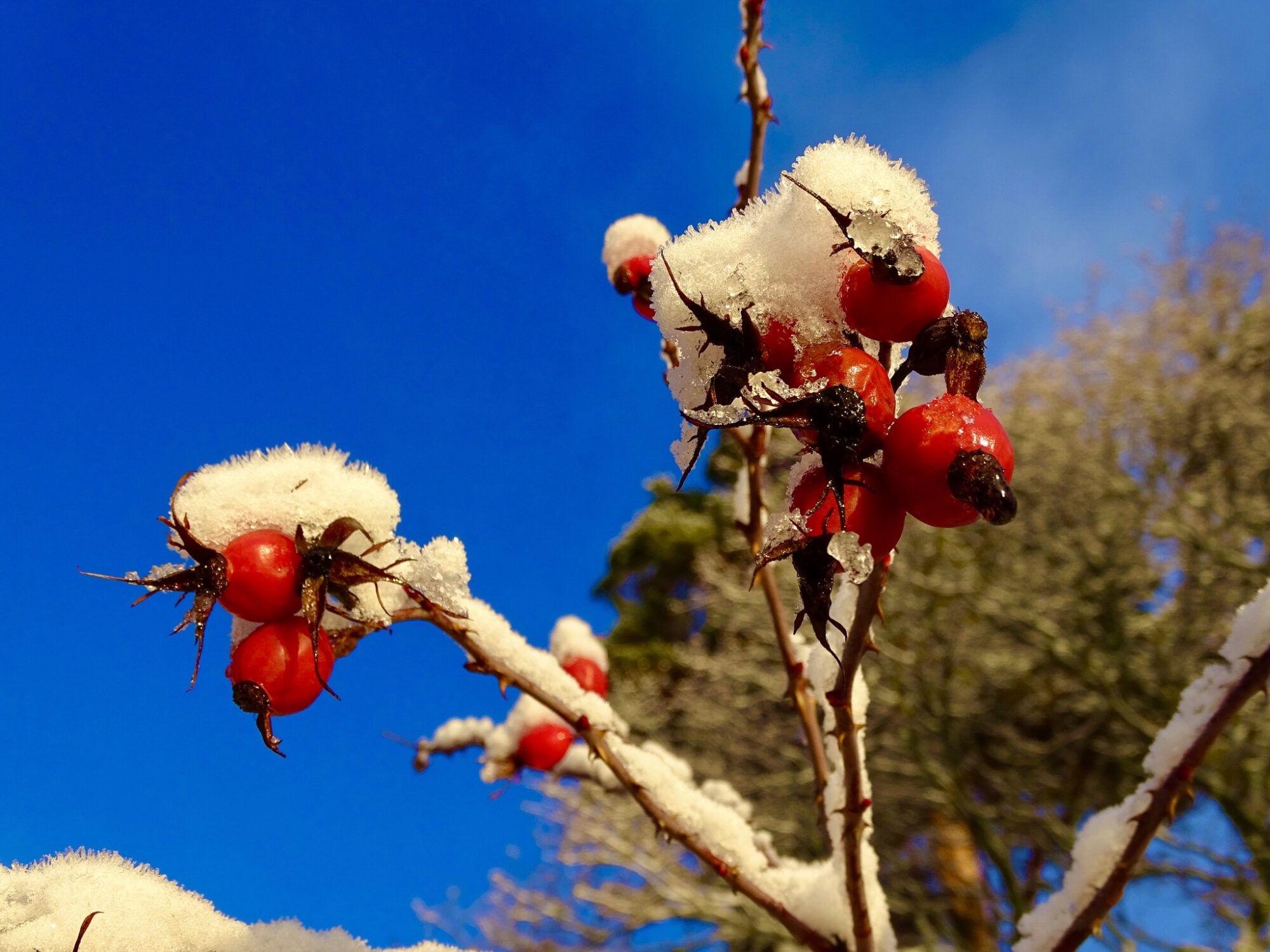 Valokuvaaja: Juhani Peltonen
