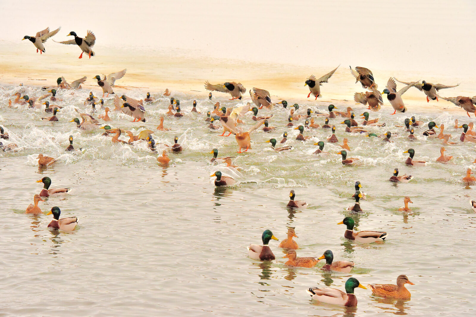 Valokuvaaja: Reijo Juurinen