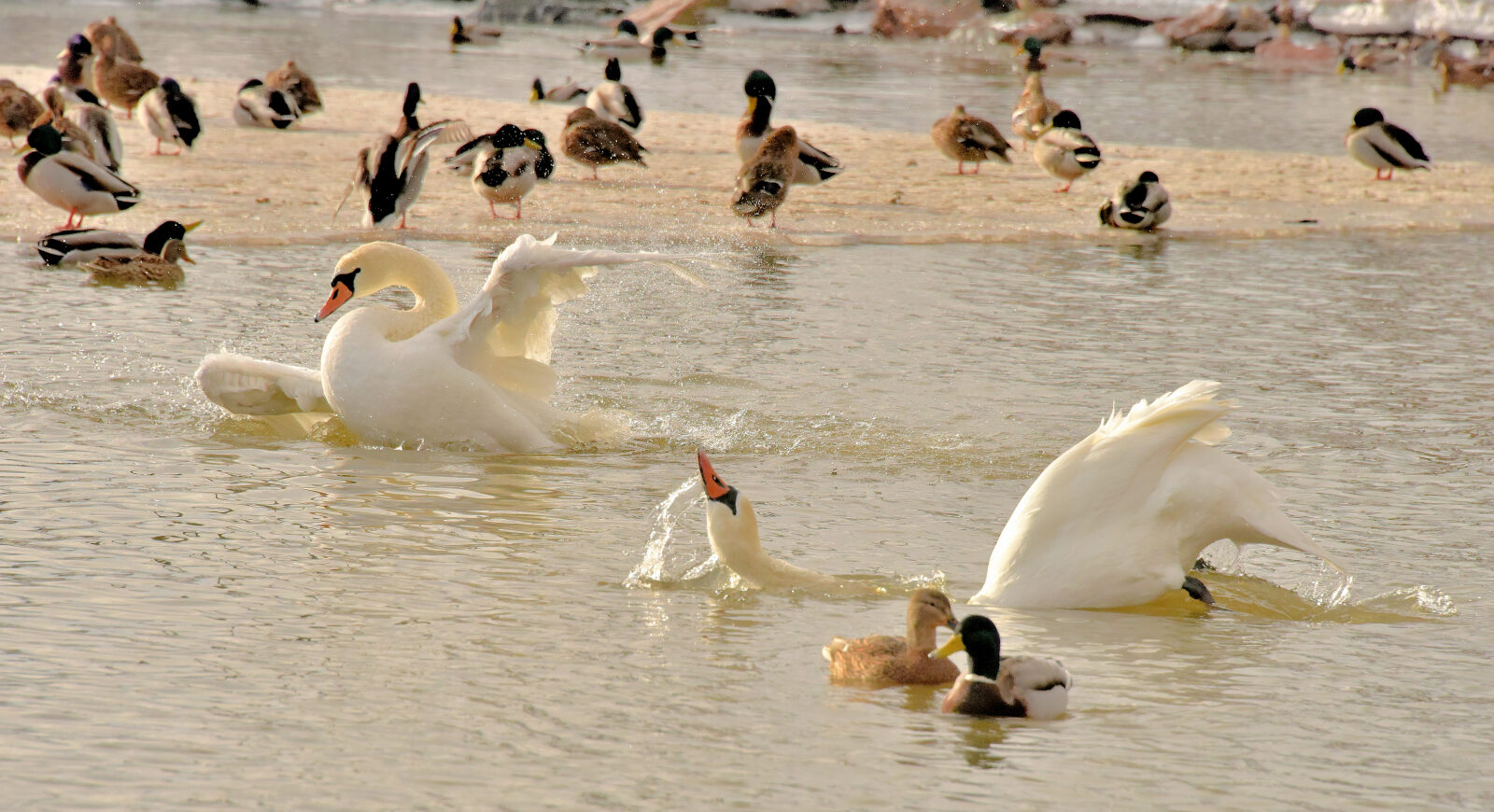 Valokuvaaja: Reijo Juurinen