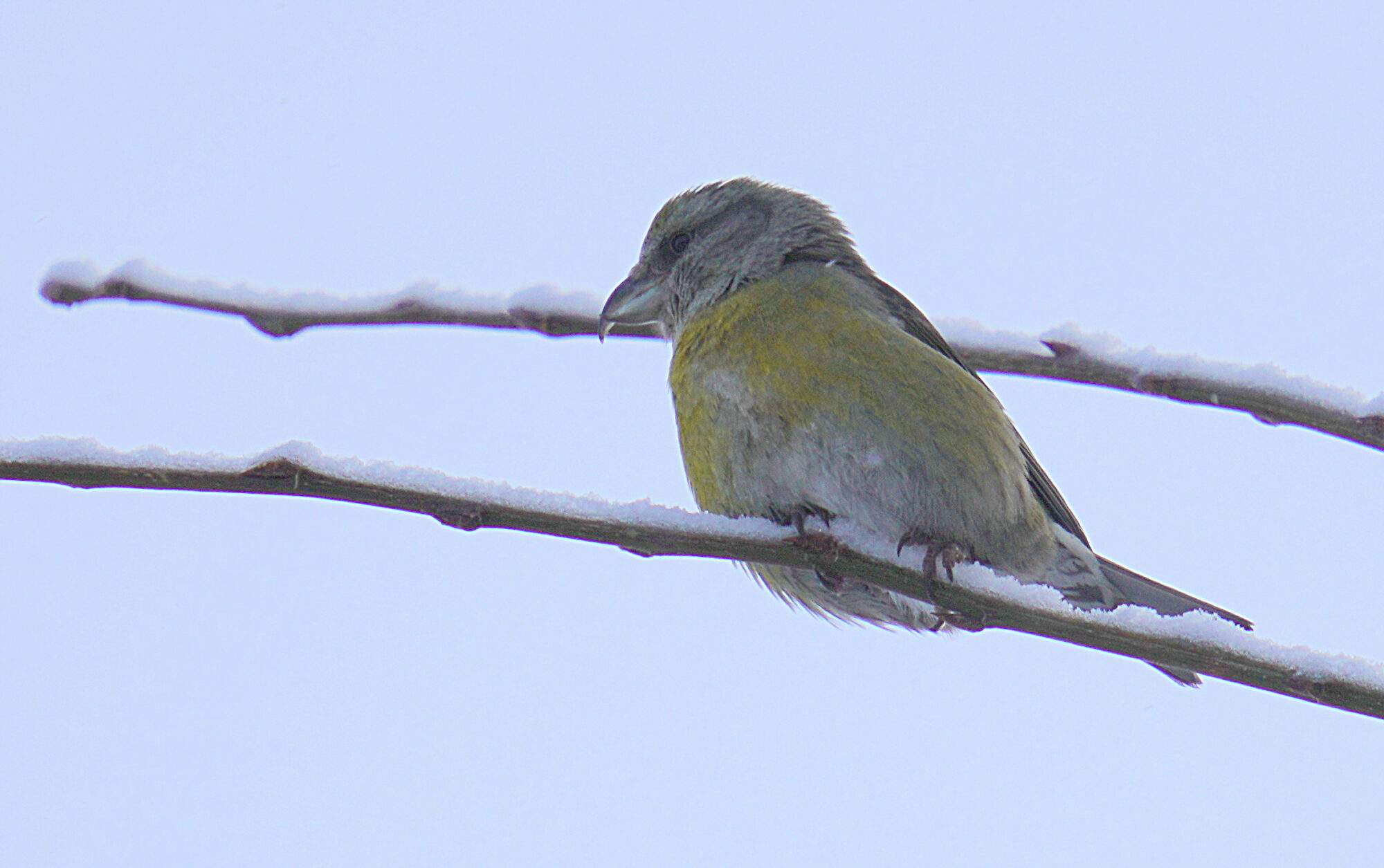 Valokuvaaja: Raija Kokkola