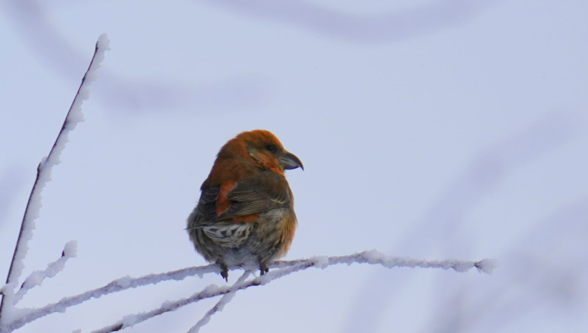 Valokuvaaja: Raija Kokkola