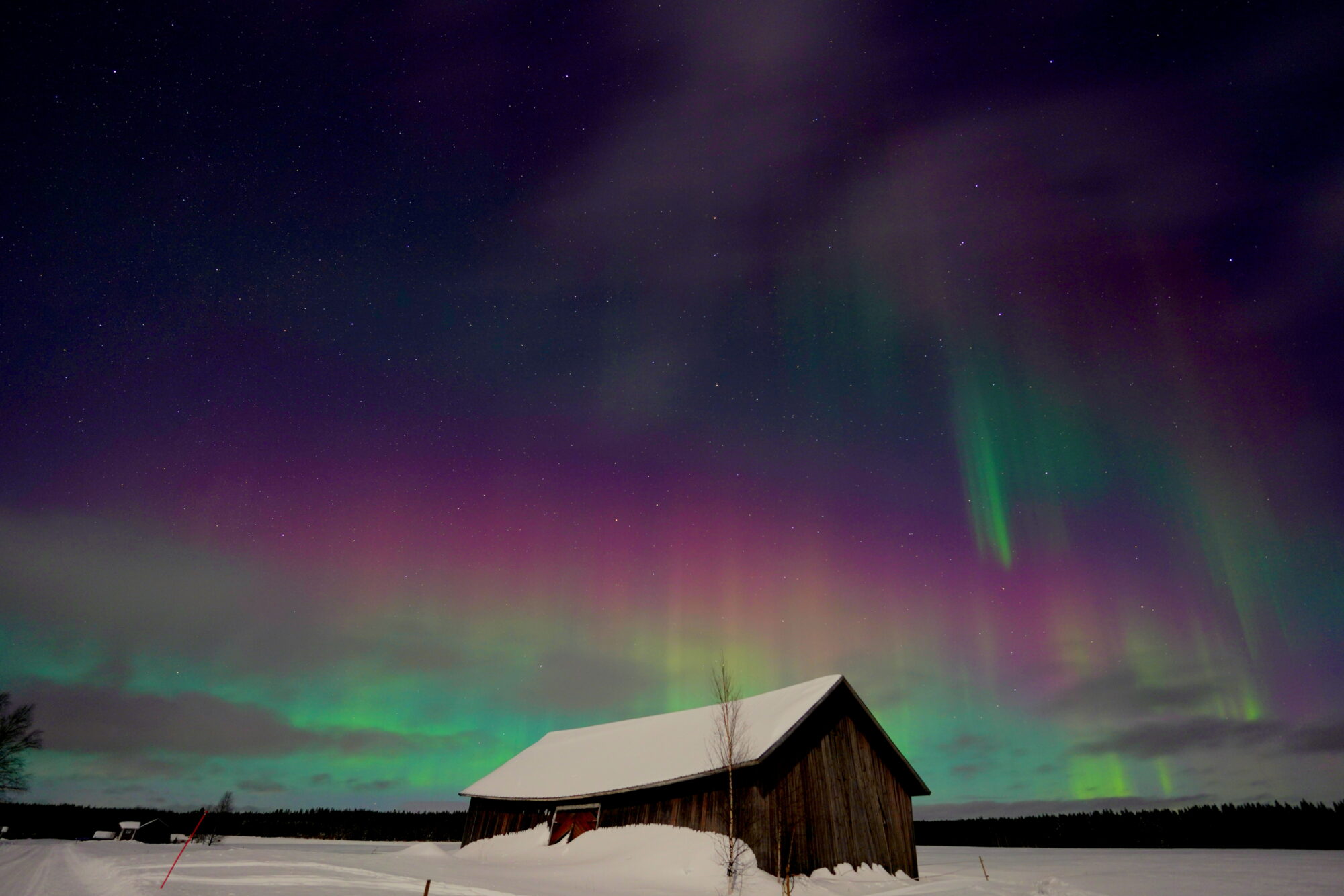 Valokuvaaja: Raija Kokkola