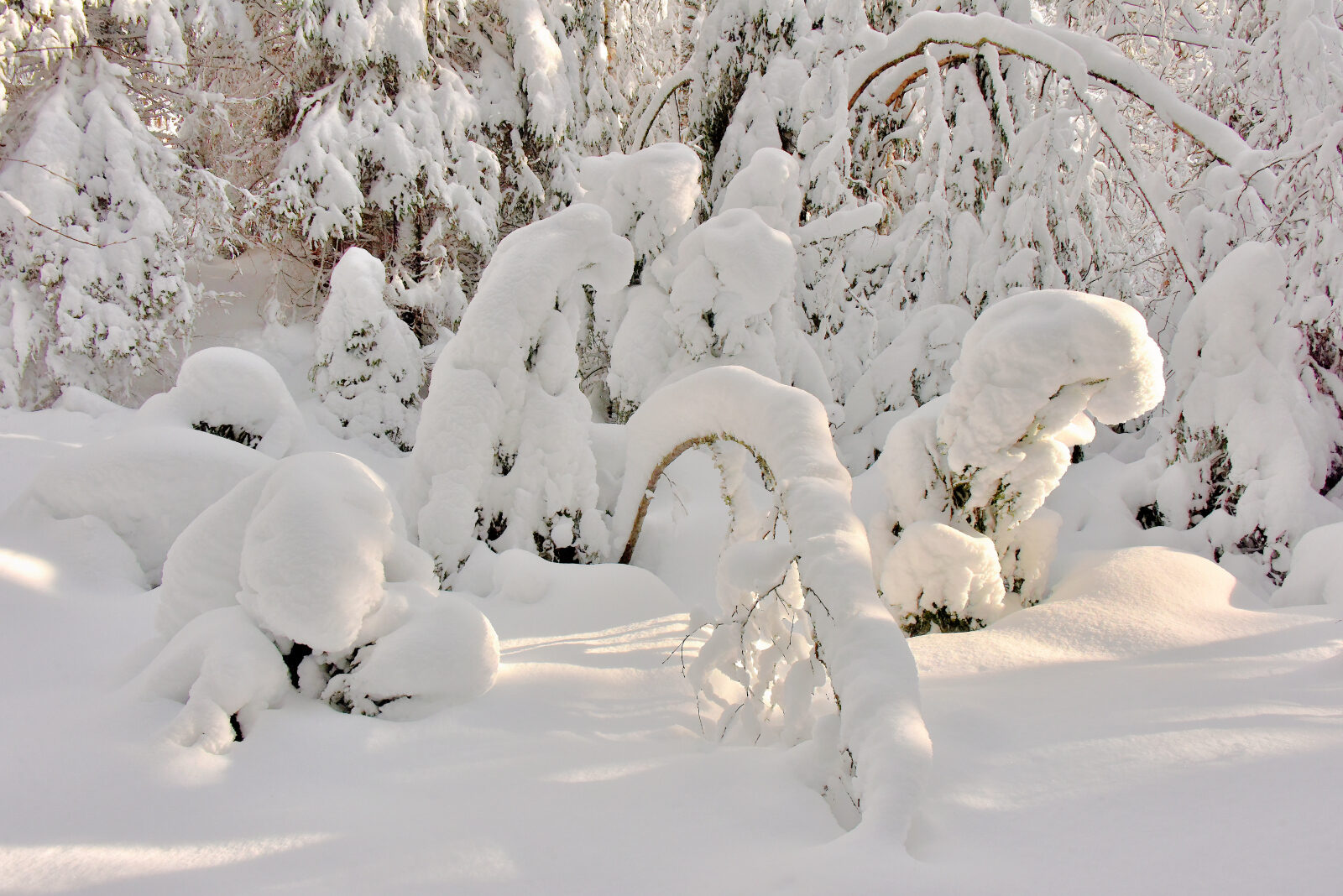 Valokuvaaja: Reijo Juurinen