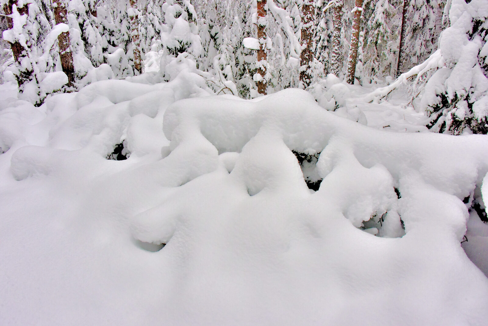 Valokuvaaja: Reijo Juurinen Valokuvaaja: Reijo Juurinen