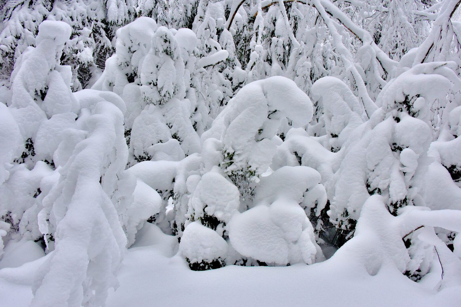Valokuvaaja: Reijo Juurinen