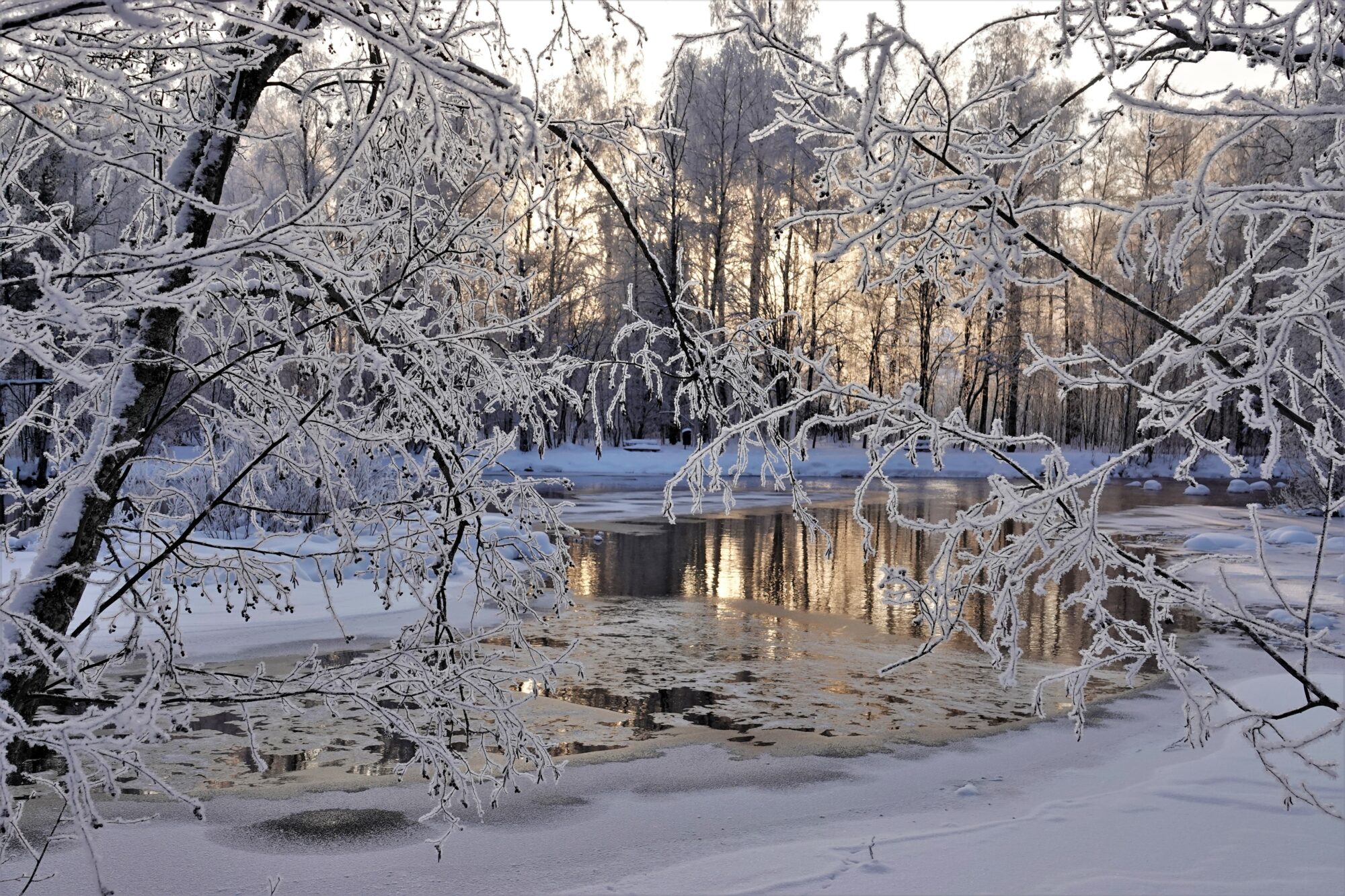 Valokuvaaja: Maarit Siitonen