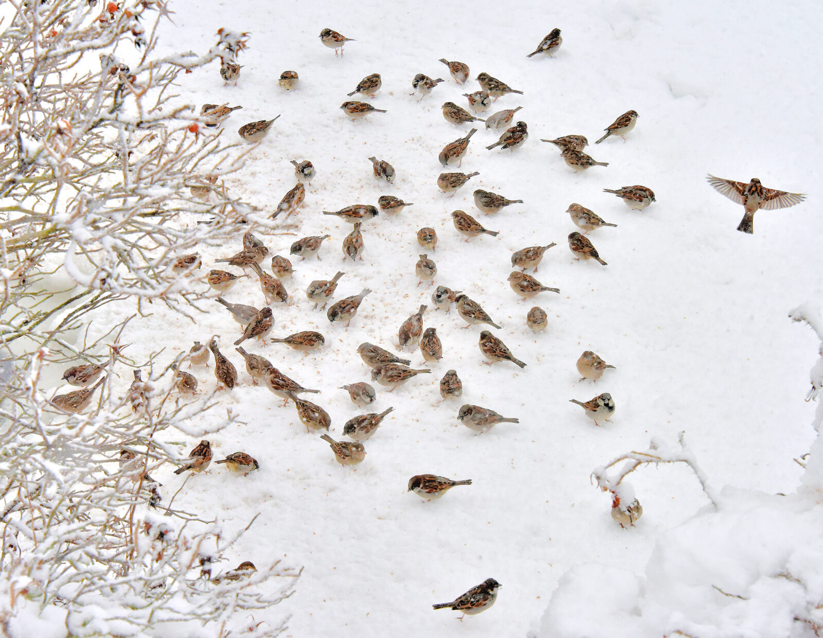 Valokuvaaja: Reijo Juurinen