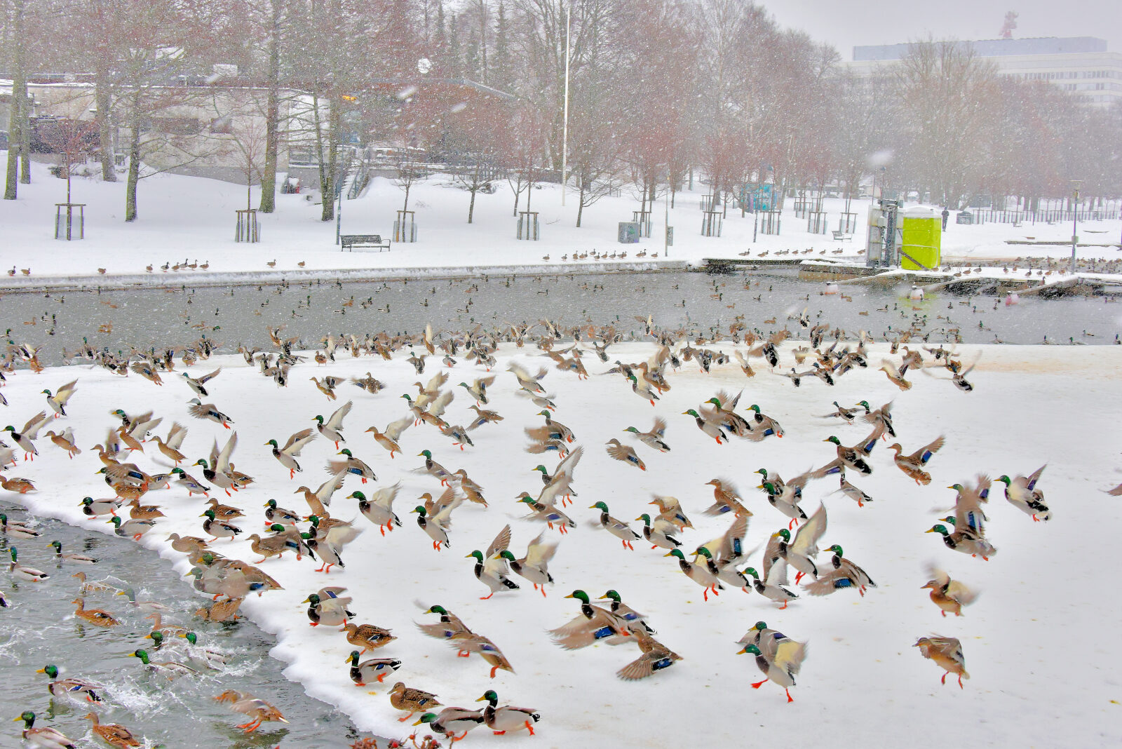 Valokuvaaja: Reijo Juurinen