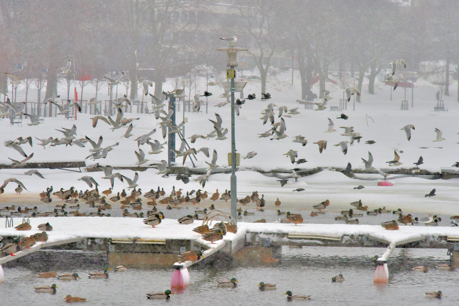 Valokuvaaja: Reijo Juurinen