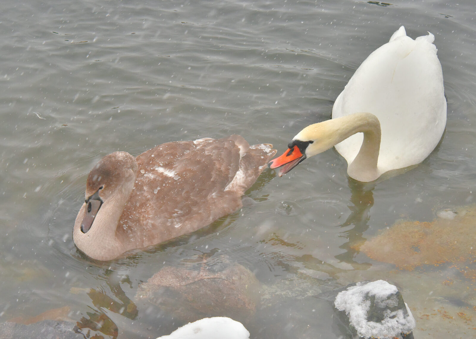 Valokuvaaja: Reijo Juurinen