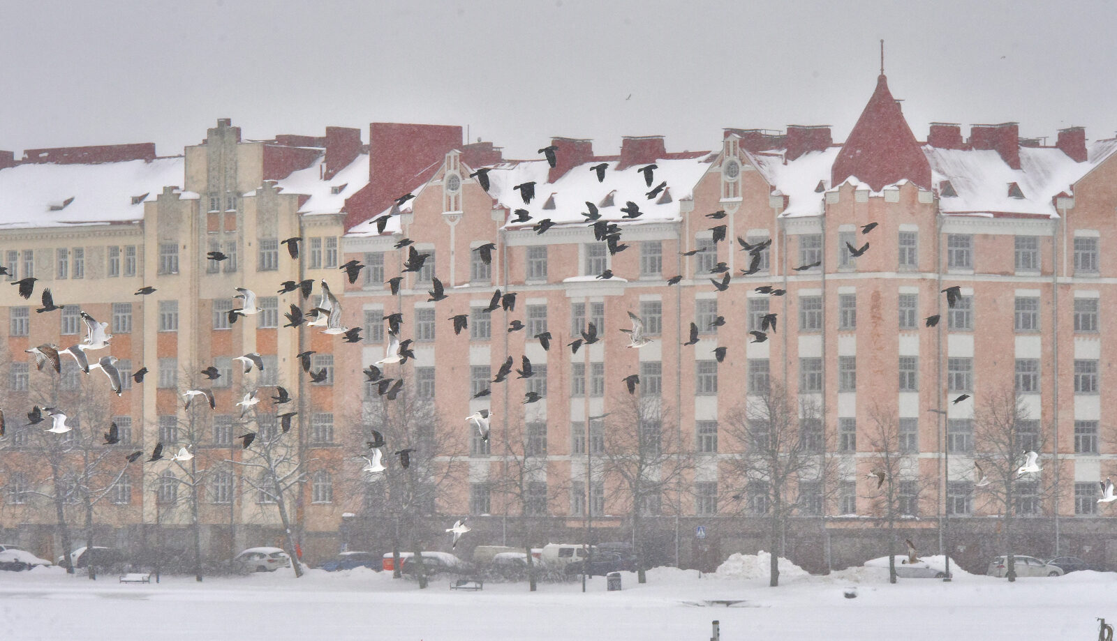 Valokuvaaja: Reijo Juurinen