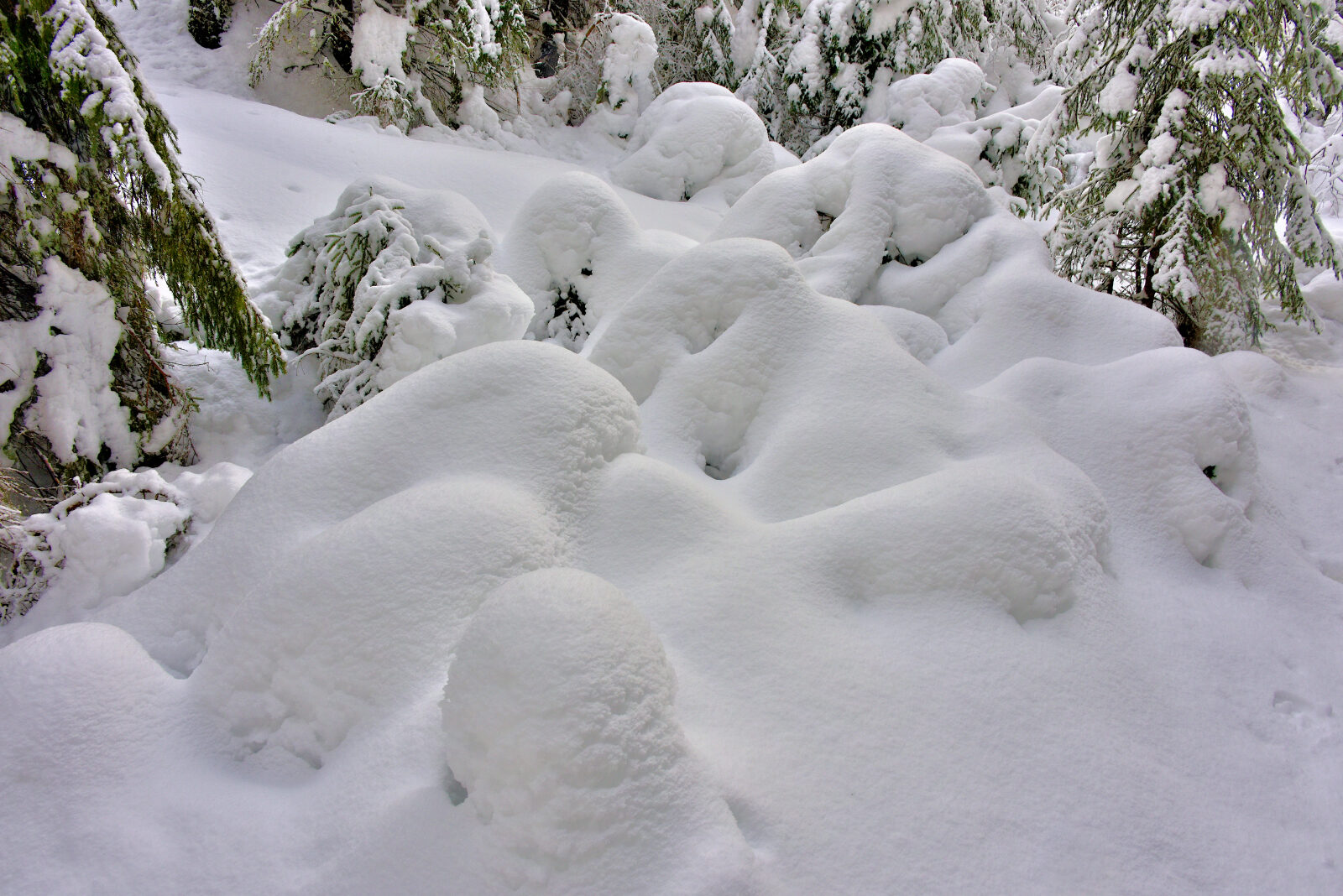 Valokuvaaja: Reijo Juurinen