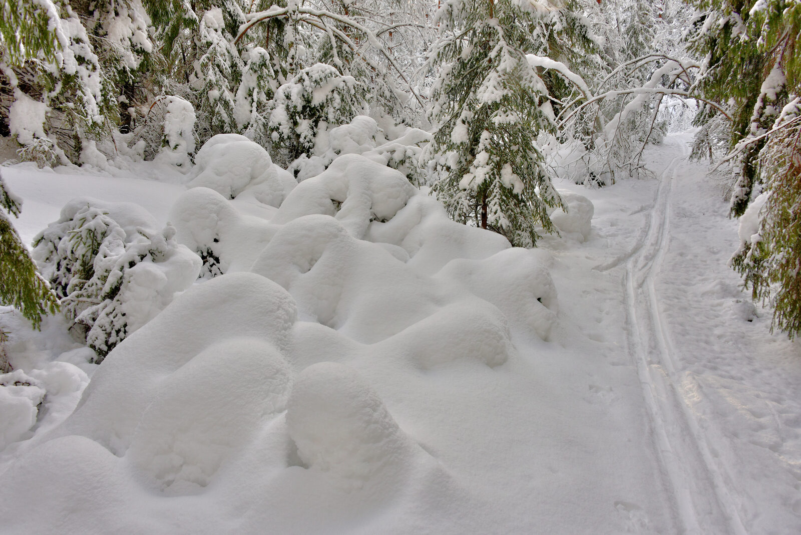 Valokuvaaja: Reijo Juurinen
